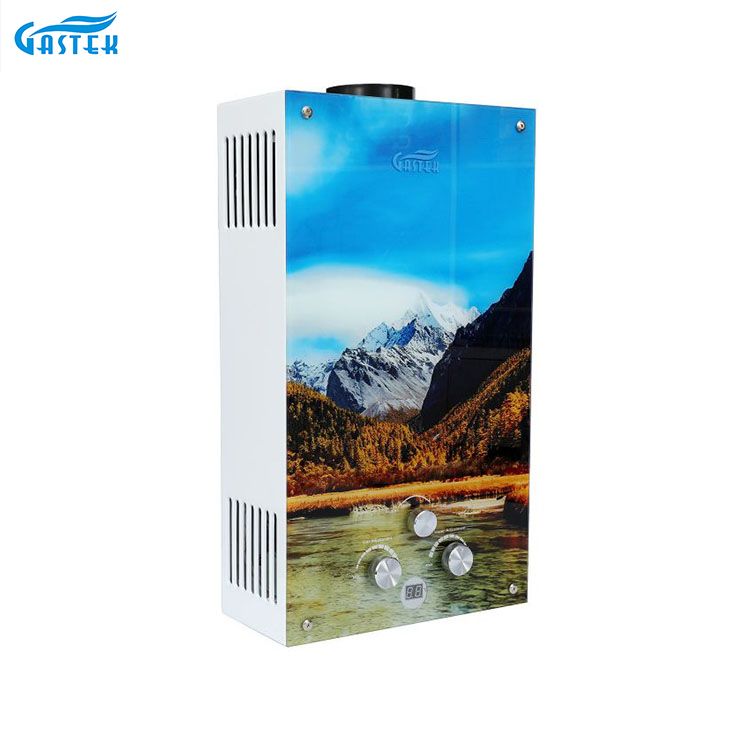 Tankless Flue Type Glass Panel Θερμοσίφωνας αερίου Χονδρική Gayser υγραερίου για κουζίνα